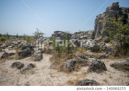 Large boulders on the sand surrounded by bushes Large boulders on the sand surrounded by bushes 140068255