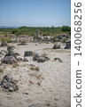 Large boulders on the sand surrounded by bushes 140068256
