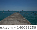 Seagulls and other birds fly away from the pier 140068259