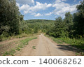 Narrow country road between trees 140068262