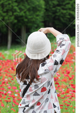 一名女子在群馬縣高山村拍攝一片罌粟花田。 140068809