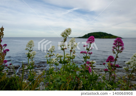 View from the South Cornwall Coast, UK on the edge of the land where it meets the sea in late spring View from the South Cornwall Coast, UK on the edge of the land where it meets the sea in late spring 140068908