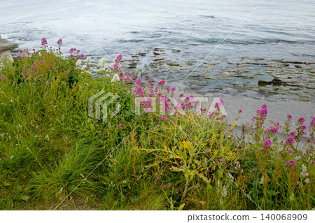 View from the South Cornwall Coast, UK on the edge of the land where it meets the sea in late spring View from the South Cornwall Coast, UK on the edge of the land where it meets the sea in late spring 140068909