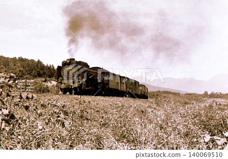 1969 (Showa 44): D51-hauled freight train, Hokkaido, Hakodate Main Line, Kamimena - Mena, documentary photograph. 1969 (Showa 44): D51-hauled freight train, Hokkaido, Hakodate Main Line, Kamimena - Mena, documentary photograph. 140069510
