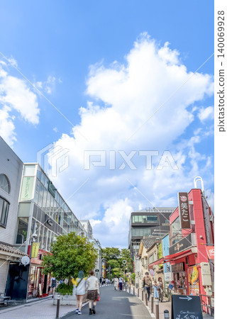 Urban landscape of Shibuya Ward, Tokyo: Shibuya Cat Street Urban landscape of Shibuya Ward, Tokyo: Shibuya Cat Street 140069928