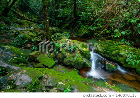 small waterfall and stream surround by rock covered with green moss small waterfall and stream surround by rock covered with green moss 140070113