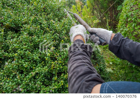 pruning, gents, male 140070376