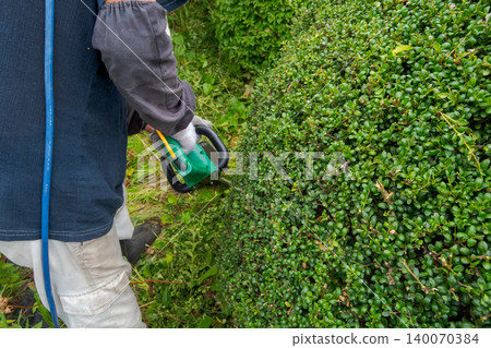 pruning, gents, male 140070384