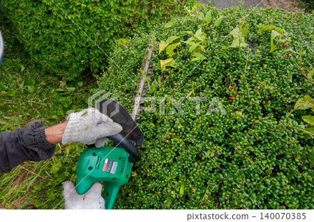 pruning, gents, male 140070385