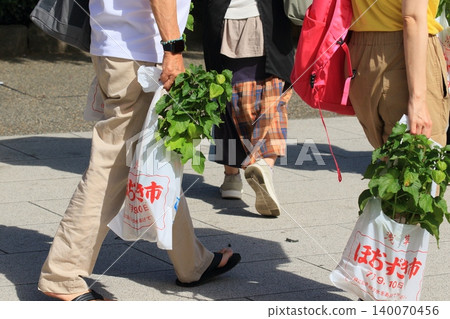 Asakusa Ground Cherry Market: Visitors buying potted ground cherries. 140070456