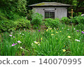 東京町田市藥師池公園內的水車和鳶尾花園。 140070995