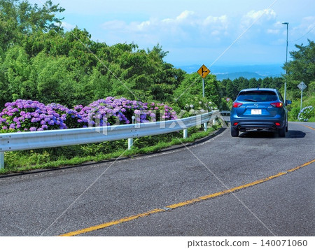 米卡內天際線：道路和汽車旁的繡球花盛開 140071060