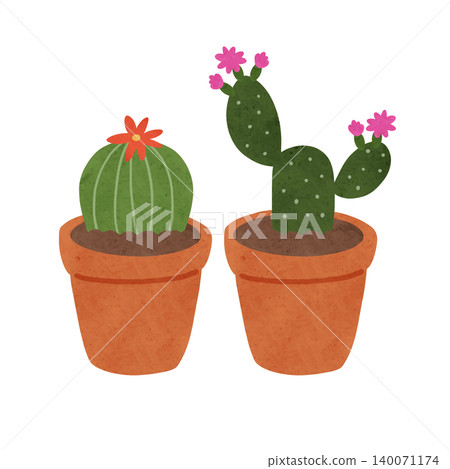 一盆陶土盆栽,裡面種著一株開花的圓形仙人掌和一株梨形仙人掌;水彩風格的手繪插圖。 一盆陶土盆栽,裡面種著一株開花的圓形仙人掌和一株梨形仙人掌;水彩風格的手繪插圖。 140071174