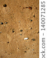 Beach pattern 1 140071285