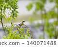 莫斯飛行 140071488