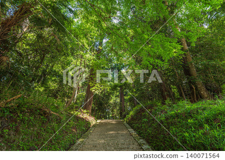 奈良縣飛鳥村飛鳥川神二今須神社的石階 奈良縣飛鳥村飛鳥川神二今須神社的石階 140071564