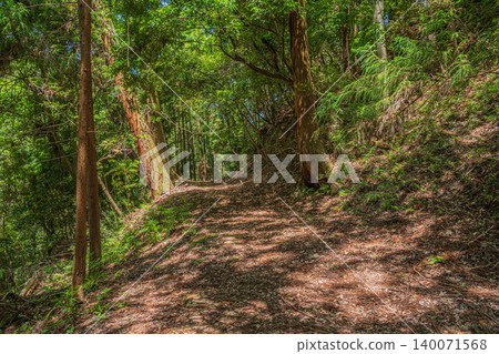 奈良縣飛鳥村飛鳥川上二伊阿蘇臼瀧姬命神社內的林地 奈良縣飛鳥村飛鳥川上二伊阿蘇臼瀧姬命神社內的林地 140071568