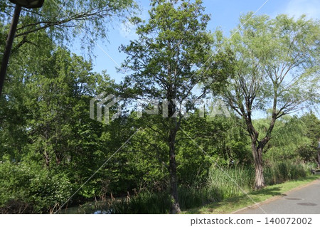葛飾區水元公園 葛飾區水元公園 140072002
