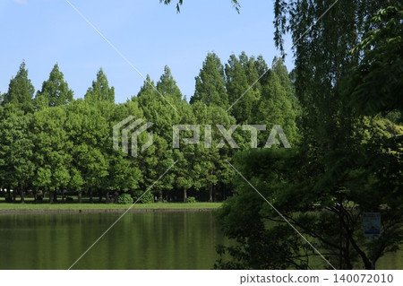 Mizumoto Park, Katsushika Ward Mizumoto Park, Katsushika Ward 140072010