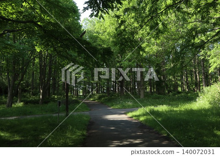 葛飾區水元公園 140072031