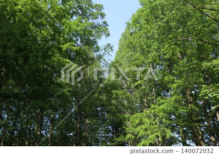 葛飾區水元公園 葛飾區水元公園 140072032