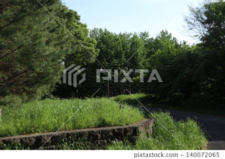 葛飾區水元公園 葛飾區水元公園 140072065
