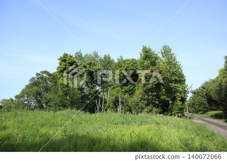 葛飾區水元公園 葛飾區水元公園 140072066