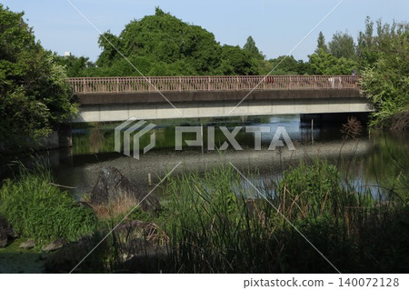 葛飾區水元公園 葛飾區水元公園 140072128