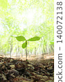 A young tree growing in the forest: A natural image symbolizing growth and the future. 140072138