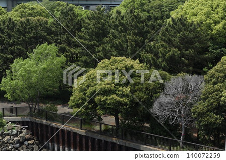 Tokai Ryokudo Park, Ota Ward Tokai Ryokudo Park, Ota Ward 140072259