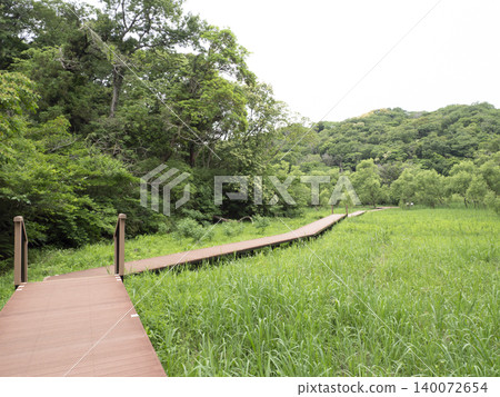 Early summer of Koashiro Bay Early summer of Koashiro Bay 140072654