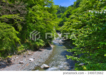 [Kanagawa Prefecture] Yushin Valley 140072662