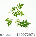 Japanese pepper berries (studio photography) 140072971