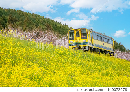 Train running rape field Train running rape field 140072978