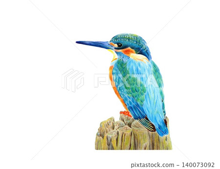 美麗的翠鳥 美麗的翠鳥 140073092