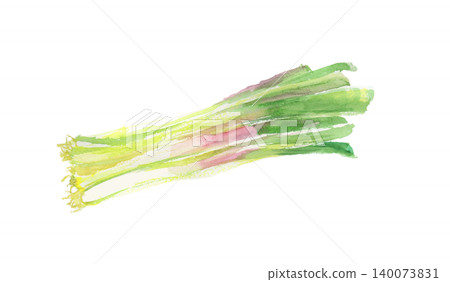 Watercolor illustration of wild garlic Watercolor illustration of wild garlic 140073831