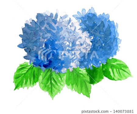 水彩畫藍色繡球花（26531像素） 140073881