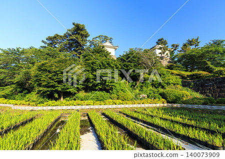 Odawara Castle Ruins in Early Summer Odawara Castle Ruins in Early Summer 140073909