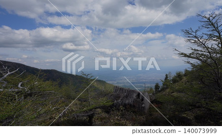 五月下旬的池之平濕地(長野縣富富市) 五月下旬的池之平濕地(長野縣富富市) 140073999