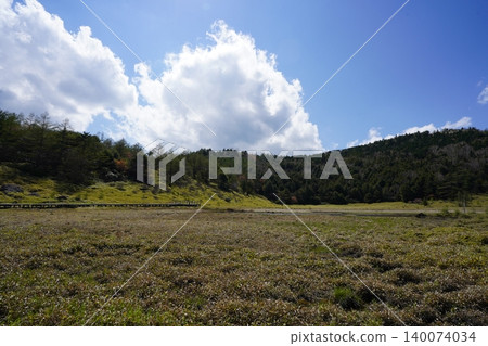 五月下旬的池之平濕地(長野縣富富市) 五月下旬的池之平濕地(長野縣富富市) 140074034