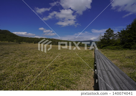 五月下旬的池之平濕地(長野縣富富市) 五月下旬的池之平濕地(長野縣富富市) 140074041