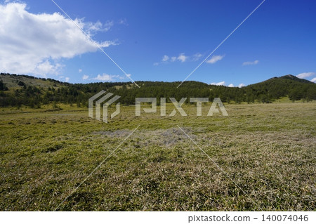 五月下旬的池之平濕地(長野縣富富市) 五月下旬的池之平濕地(長野縣富富市) 140074046