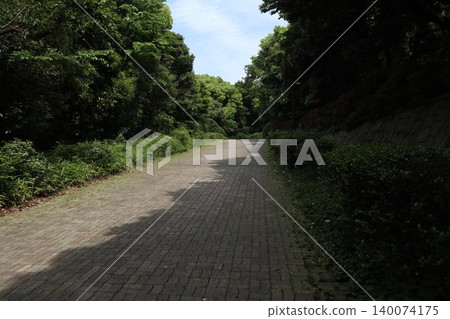 Ota Ward Wild Bird Park Ota Ward Wild Bird Park 140074175