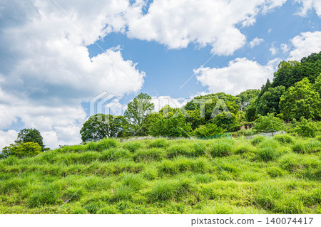 Inabuchi Rice Terraces - One of Japan's Top 100 Rice Terraces - Asuka Village, Nara Prefecture 140074417