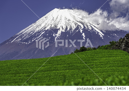 美麗的翠綠茶園和白雪皚皚的富士山 美麗的翠綠茶園和白雪皚皚的富士山 140074434
