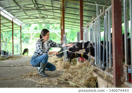 Happy young woman worker of livestock holding fresh hay for cows. Concept dairy farm 140074443