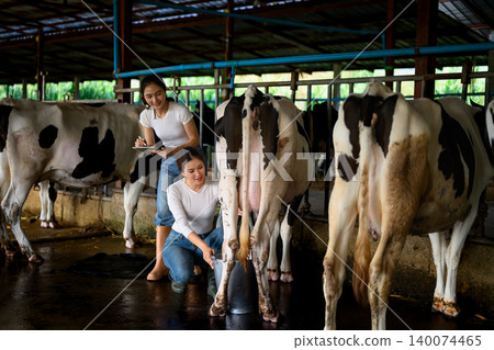 Dairy workers monitoring milking process and recording data in cow barn Dairy workers monitoring milking process and recording data in cow barn 140074465