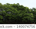 足立區中川公園 140074756