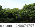 足立區中川公園 140074757