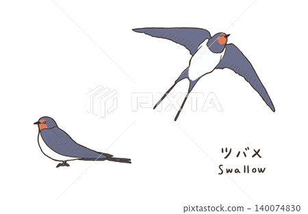 Simple swallow illustration, cute swallow illustration Simple swallow illustration, cute swallow illustration 140074830